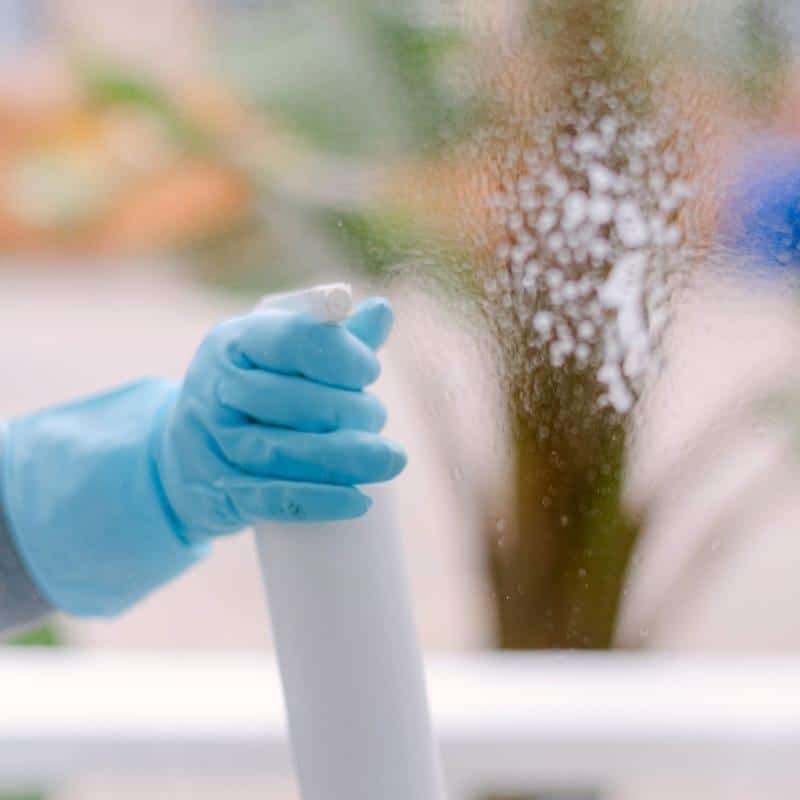 Reinigung einer Glasscheibe mit Sprühflasche
